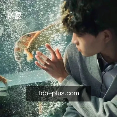 赵磊